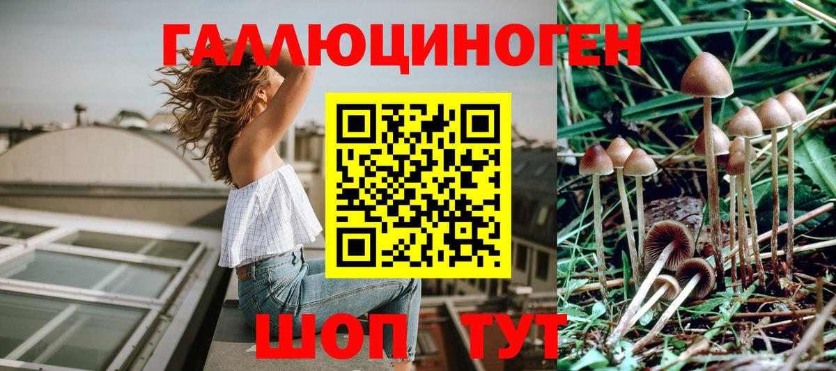 Псилоцибиновые грибы MAGIC MUSHROOMS  Псилоцибиновые грибы Psilocybine cubensis  Вход с VPN  Урай 